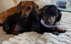 George & Maggie