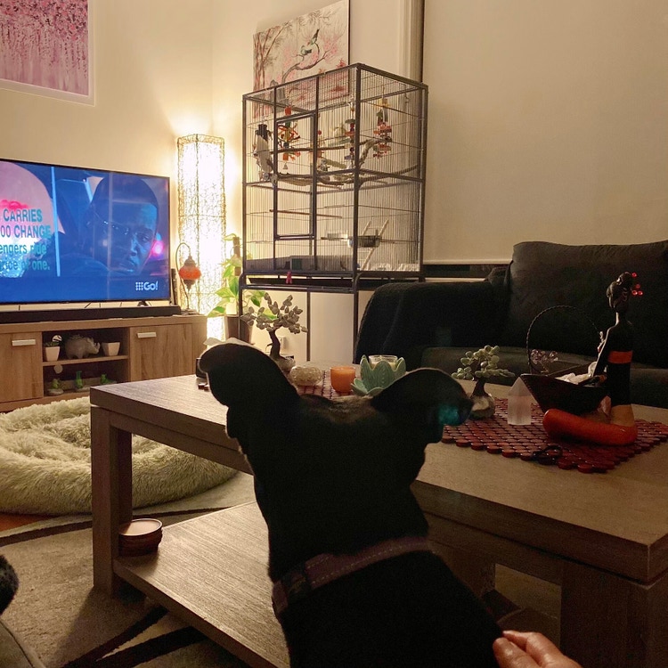 Share house Bell Park, Geelong Region 134pw, 4+ bedroom house