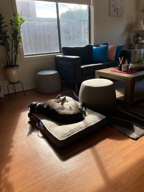 Share house Bell Park, Geelong Region 134pw, 4+ bedroom house