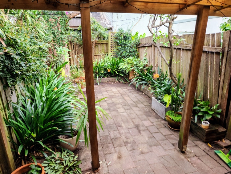 Share house Darlington, Sydney 350pw, 2 bedroom house