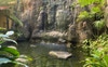 The beautiful waterfalls in our complex