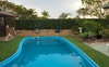 Pool loungers 