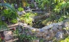 Fish pond in the garden.  