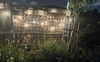 Evenings in the garden!