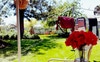 View from the back table. Its changed a little bit