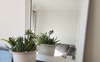 Lounge and Dining.